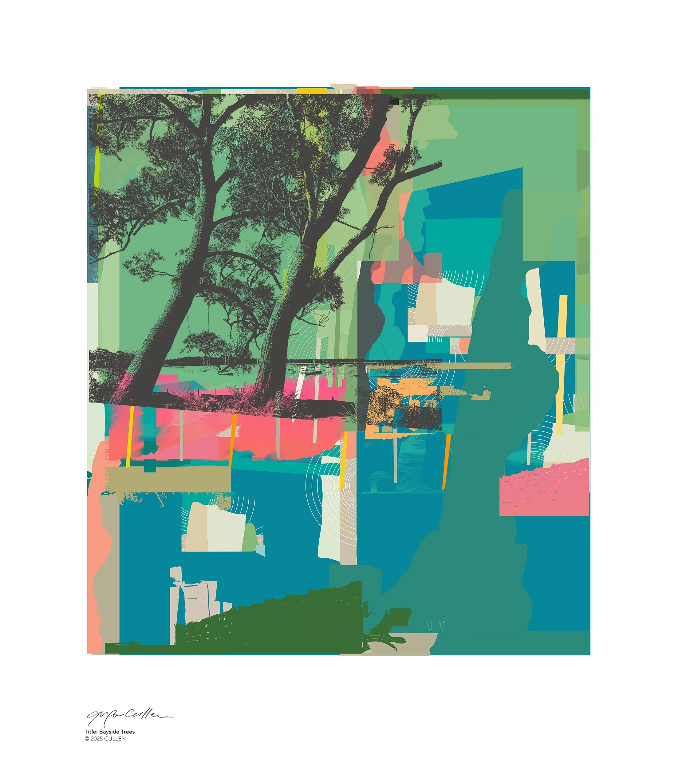 BAYSIDE TREES.jpg