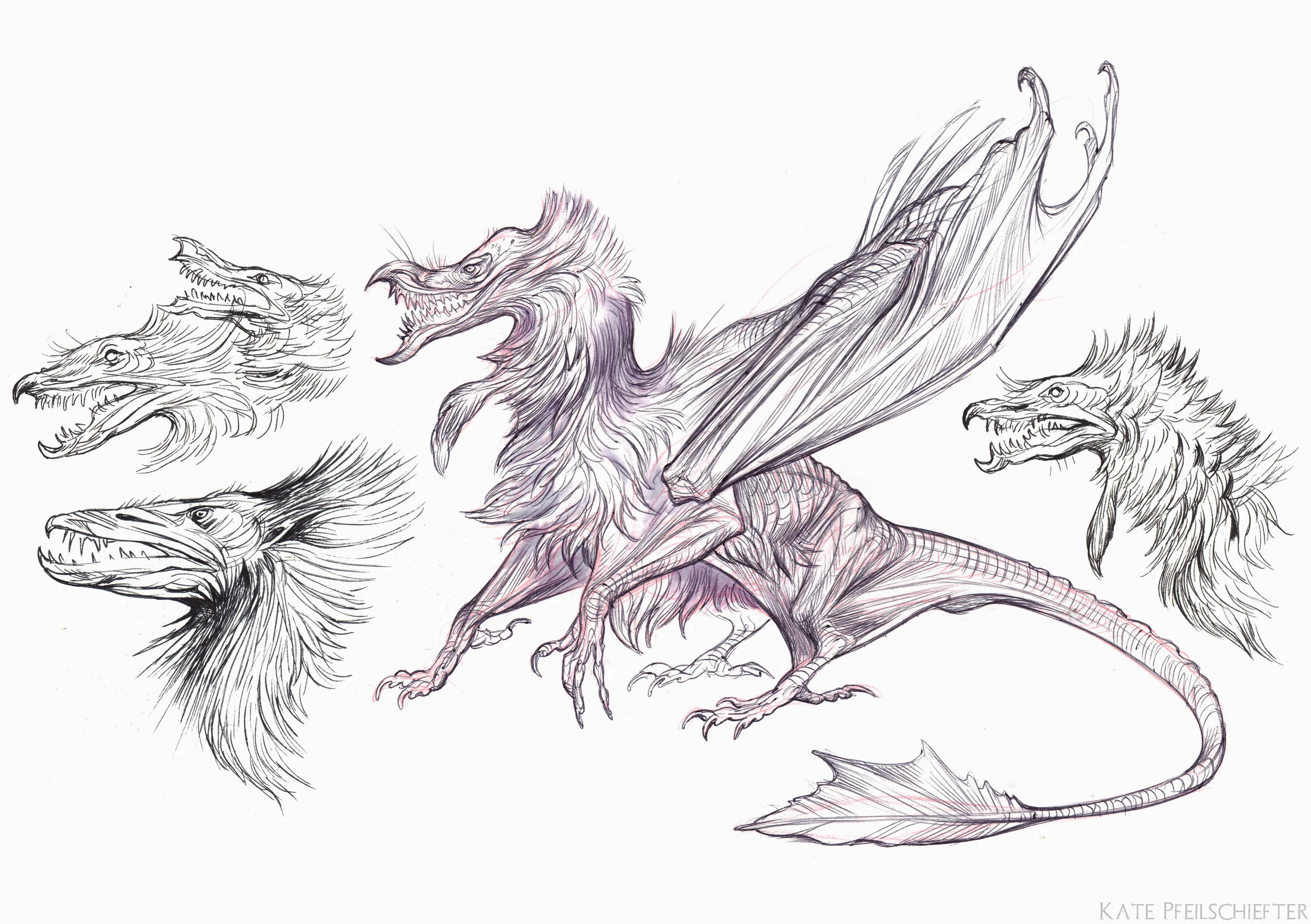 Gryphons