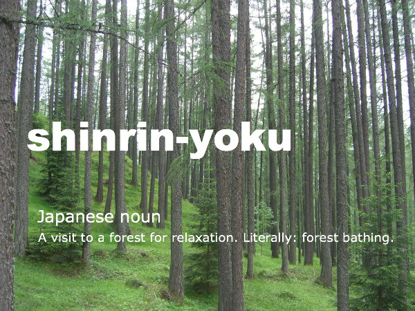 (Source: http://www.luminearth.com/2012/04/15/shinrin-yoku-forest-bathing/)