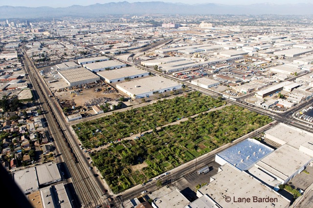 The 14 acre South Central Farm