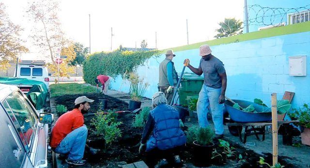 The LA Green Grounds transforming a strip of lawn into a food forest