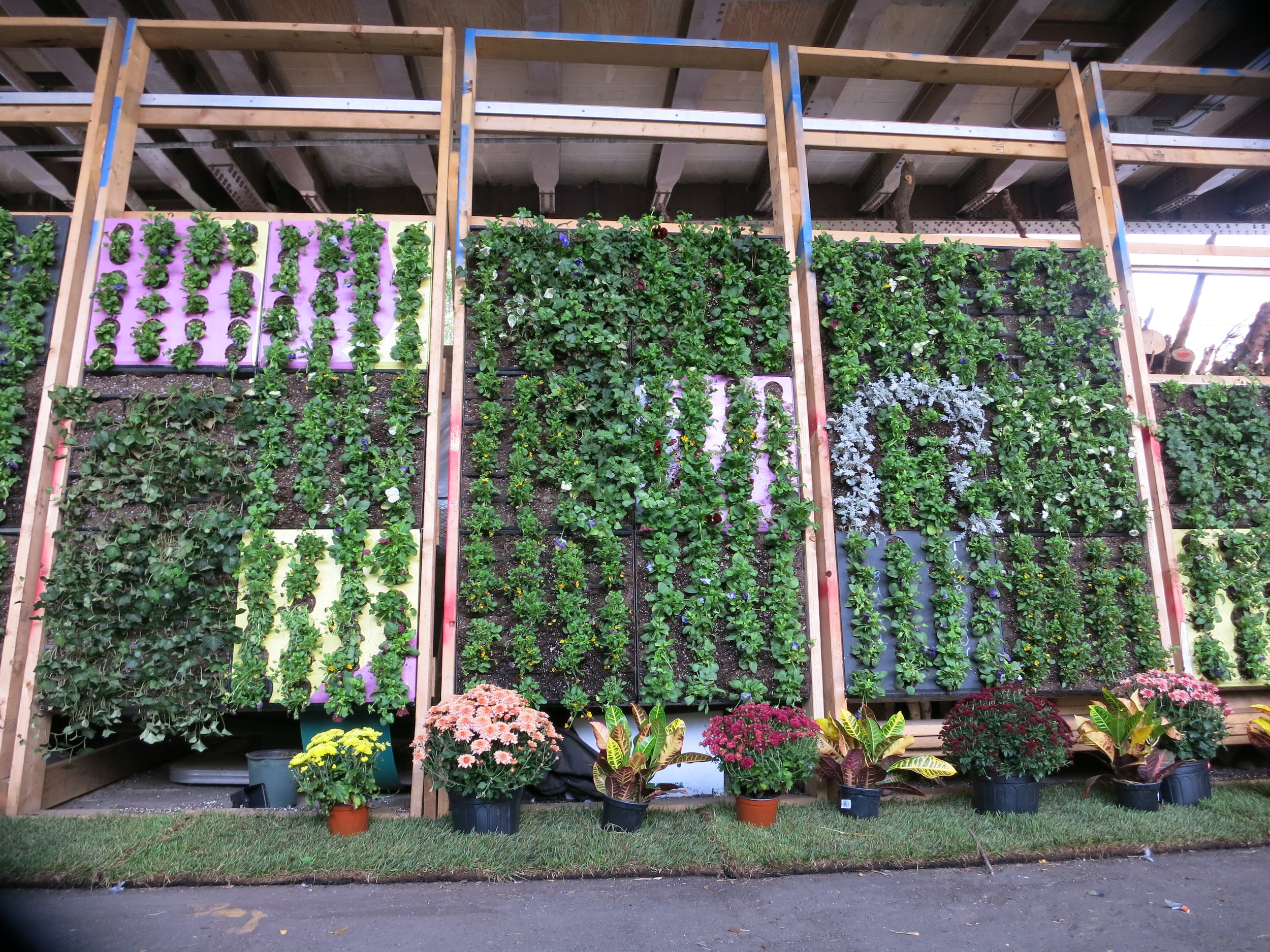 Green Bronx Machine food walls 
