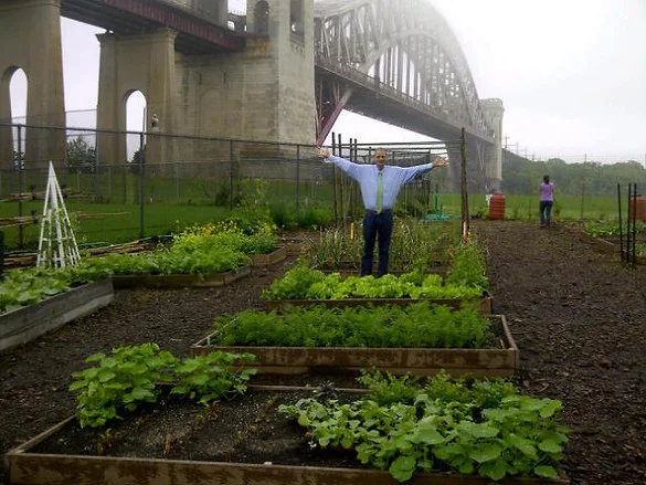 Vacant space transformed into a garden