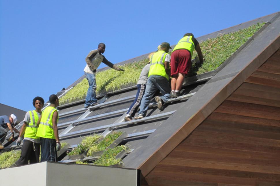 Green Bronx Machine students learning how to install a green roof