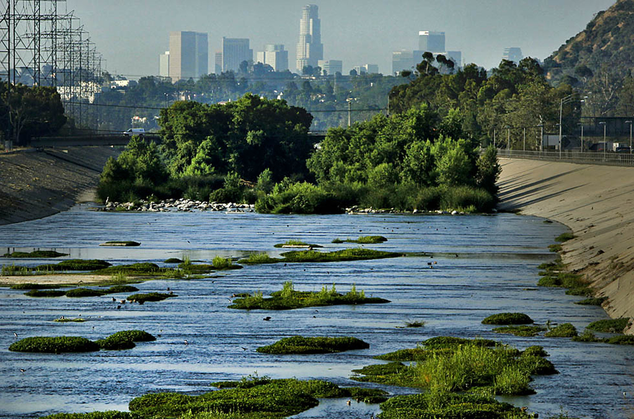 A wildlife restoration project implemented on the LA River offers an idea of the potential of a greener river space