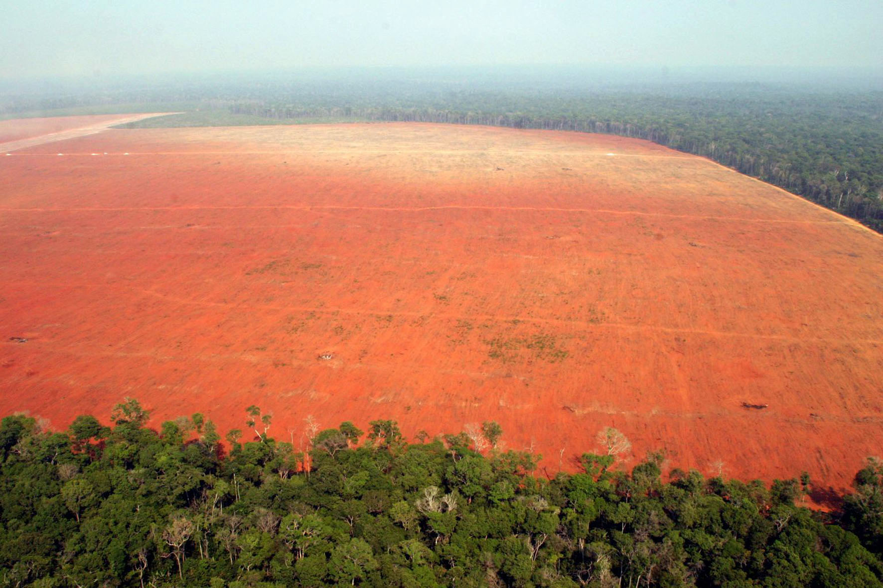 Huge swathes of land cleared out of the Amazon Rainforest Image by Greenpeace