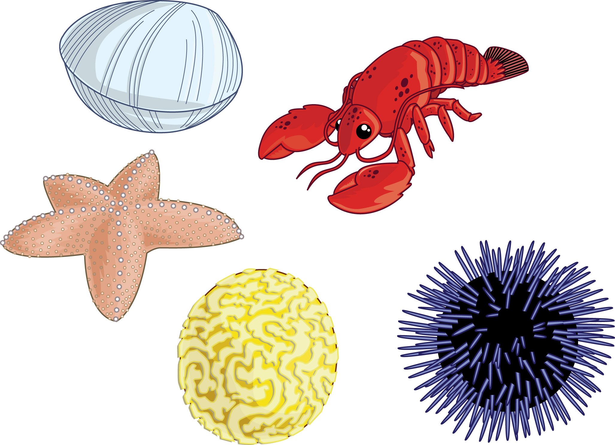 LHS Sea Creatures 01.jpg
