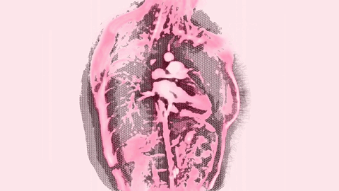 and average approximately 3 billion heartbeats in a lifetime,