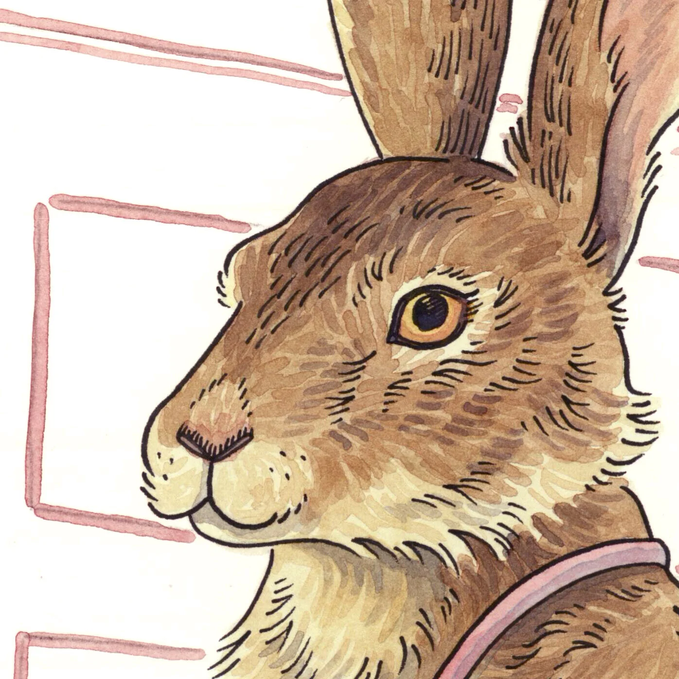 rabbit.jpg