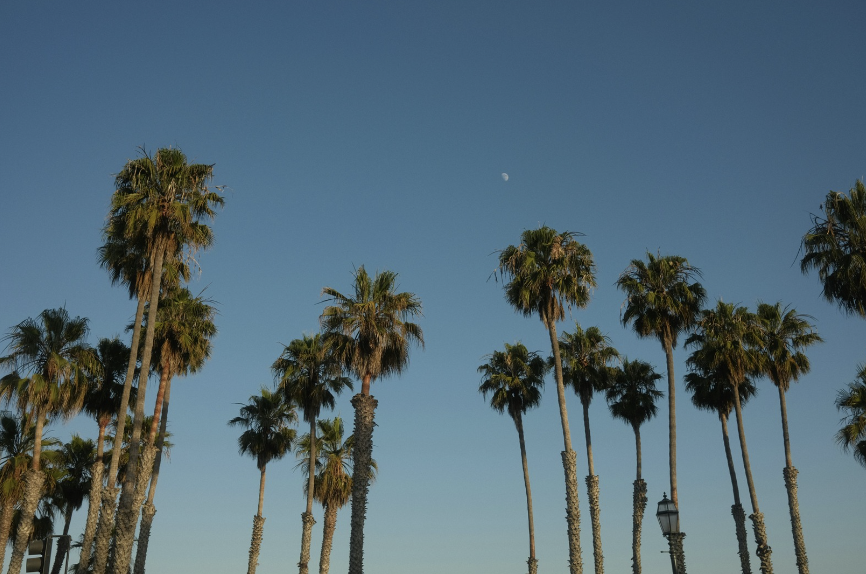 Screenshot 2025-11-10 at 3.55.07 PM.png