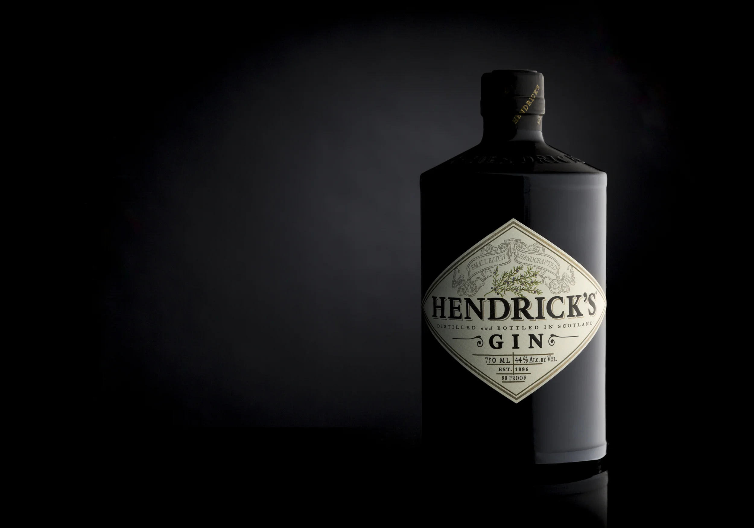 Tim_Haddock_2015_PHO_-3.jpg