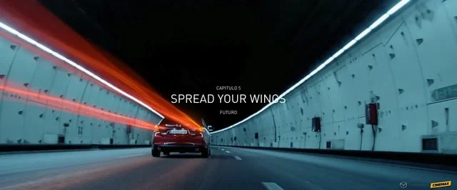 SPREAD YOUR WINGS