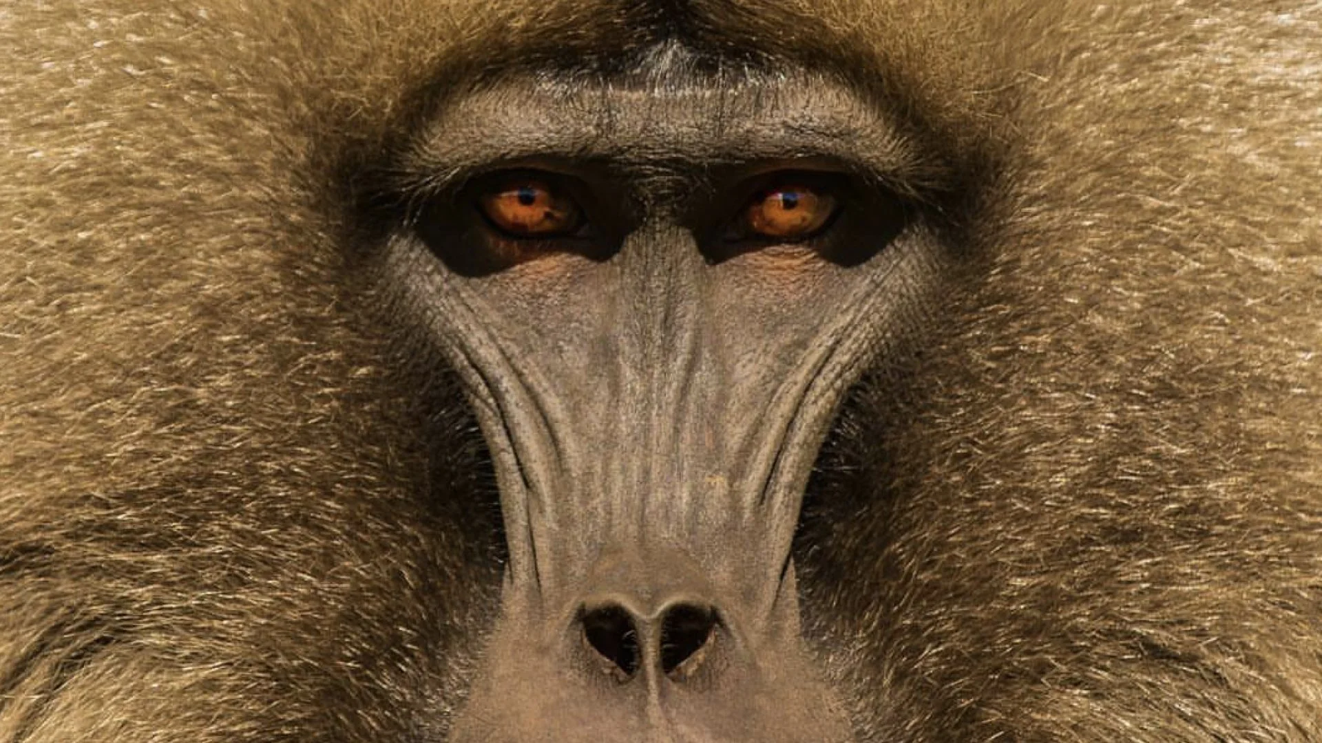 Conferencia Creativos Haciendo Industria.018.jpeg