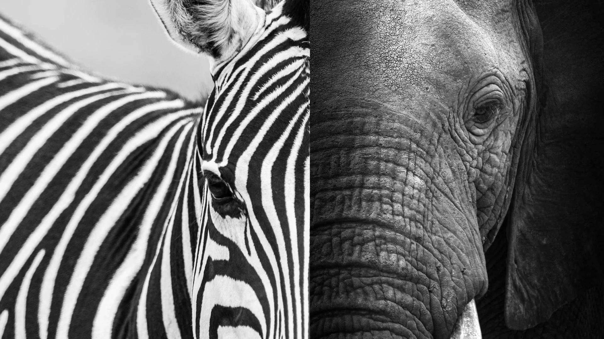 Conferencia Creativos Haciendo Industria.051.jpeg