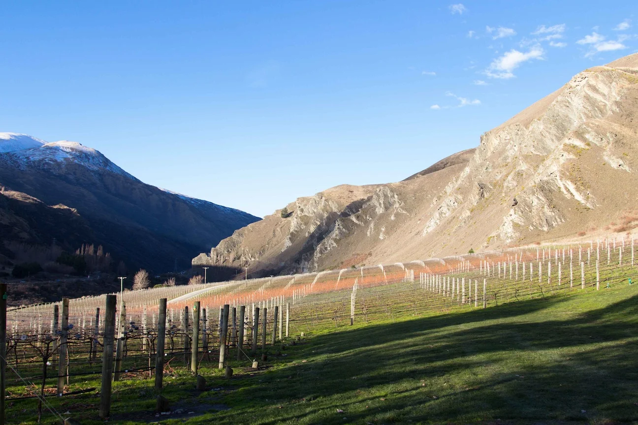 Chard Farm-14sml.jpg