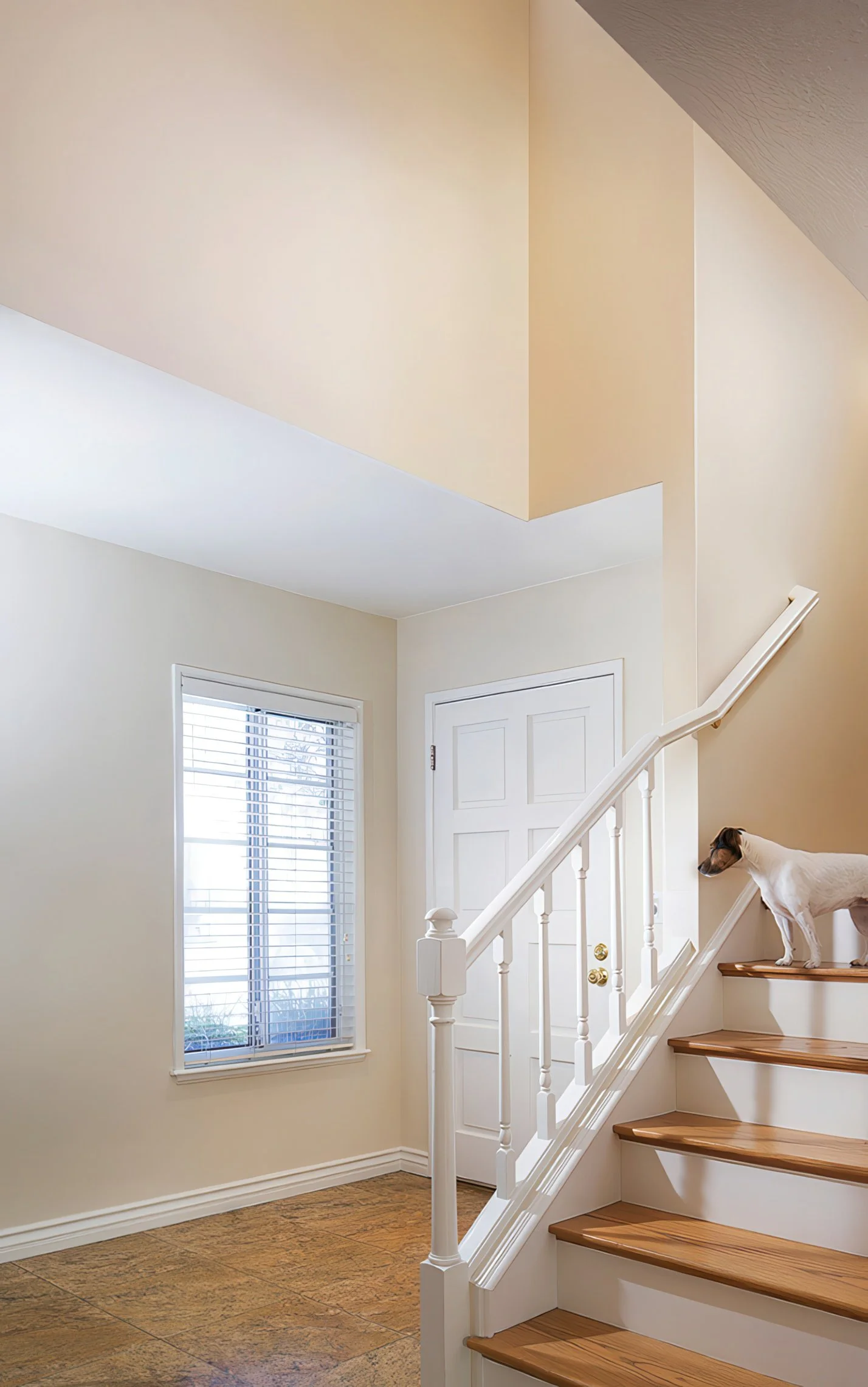 A small dog stands on the stairs of a bright, modern hallway. The space features white walls, a white front door with golden doorknobs, a window with closed blinds, and wooden stair treads with white risers. The scene is well-lit by natural light.