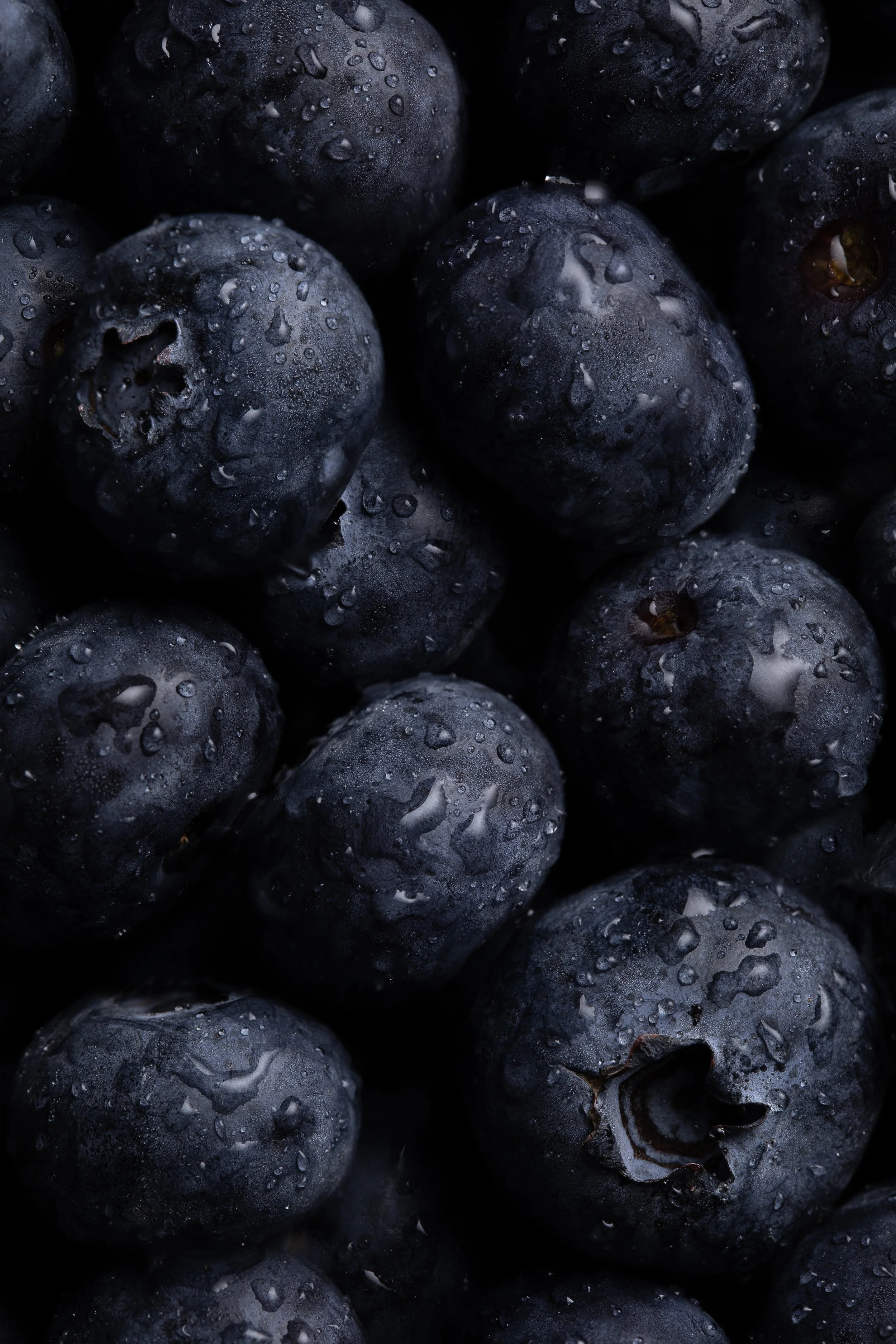 Blueberries.jpg