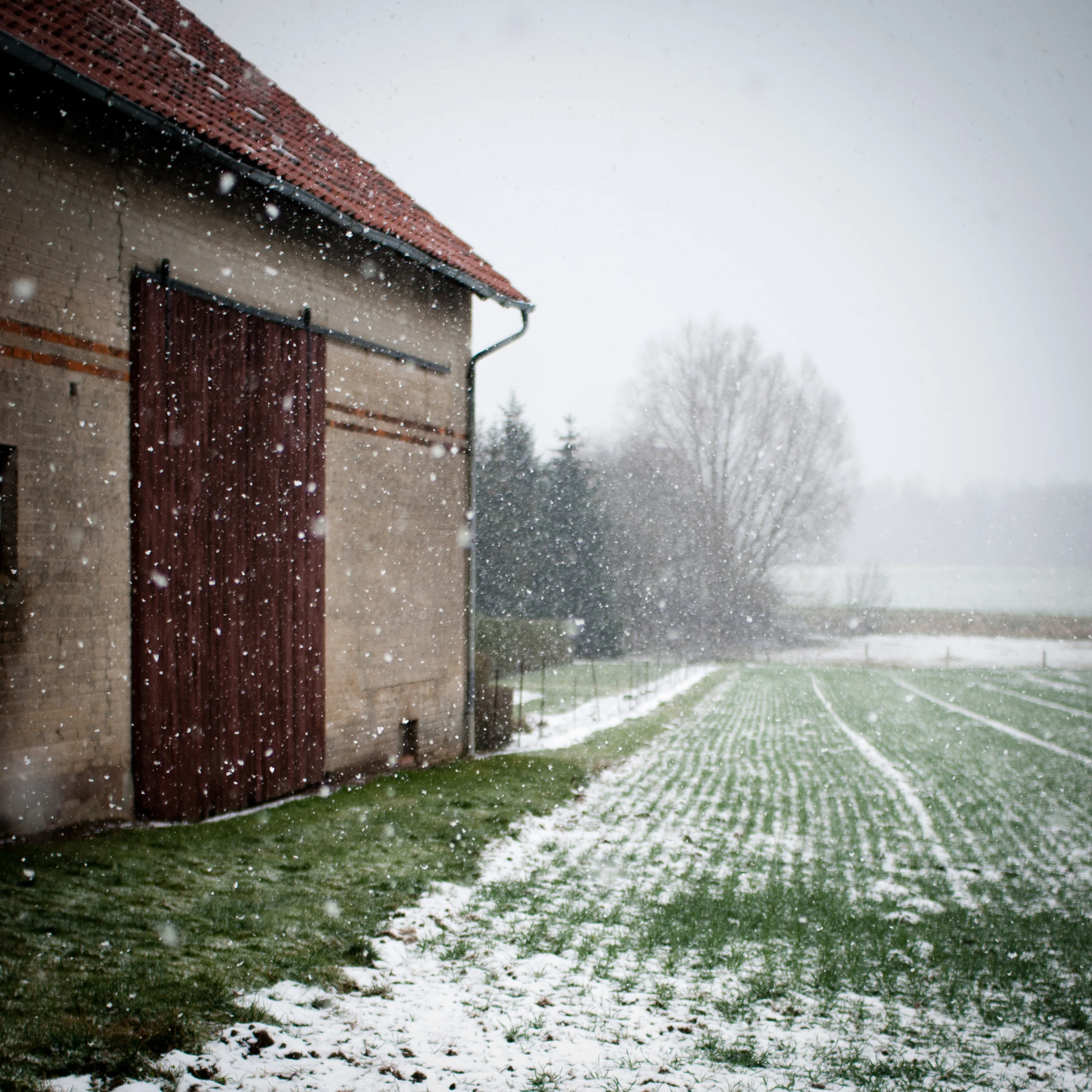 Winter Barn, Germany