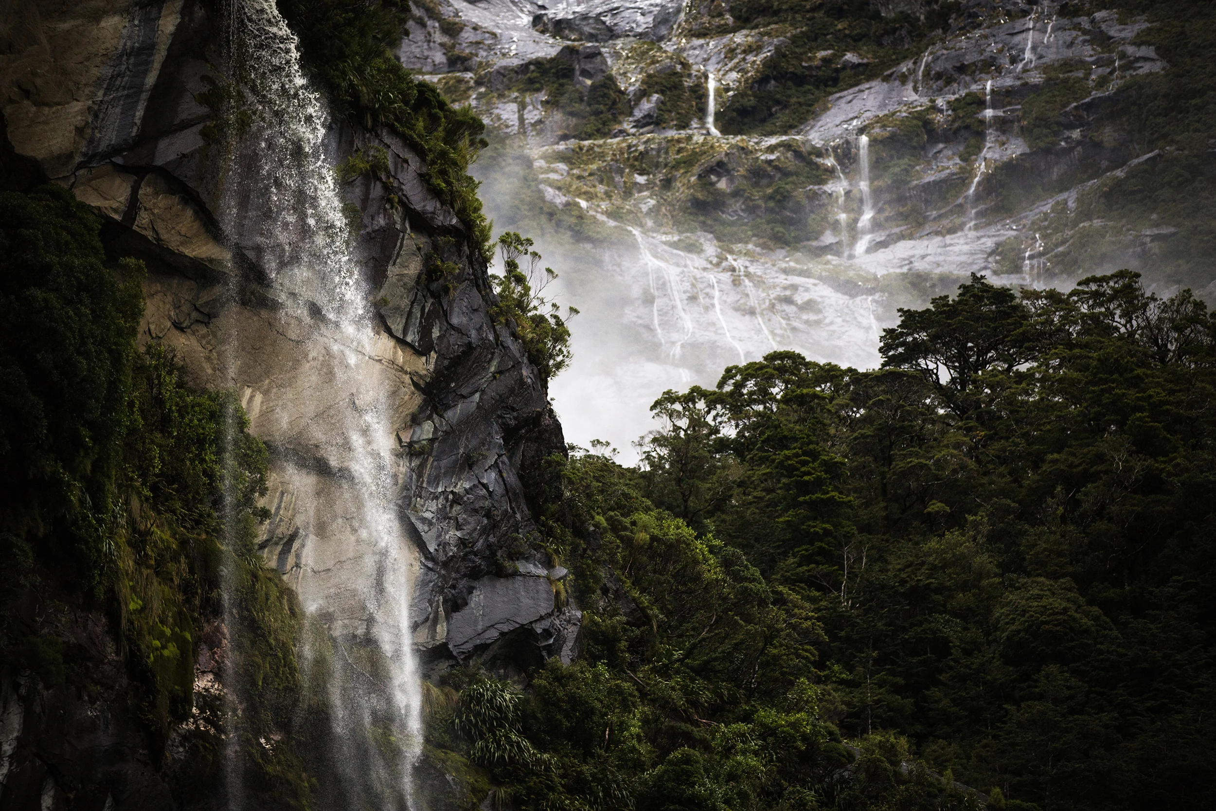 Falling copy - small for web copy.jpg