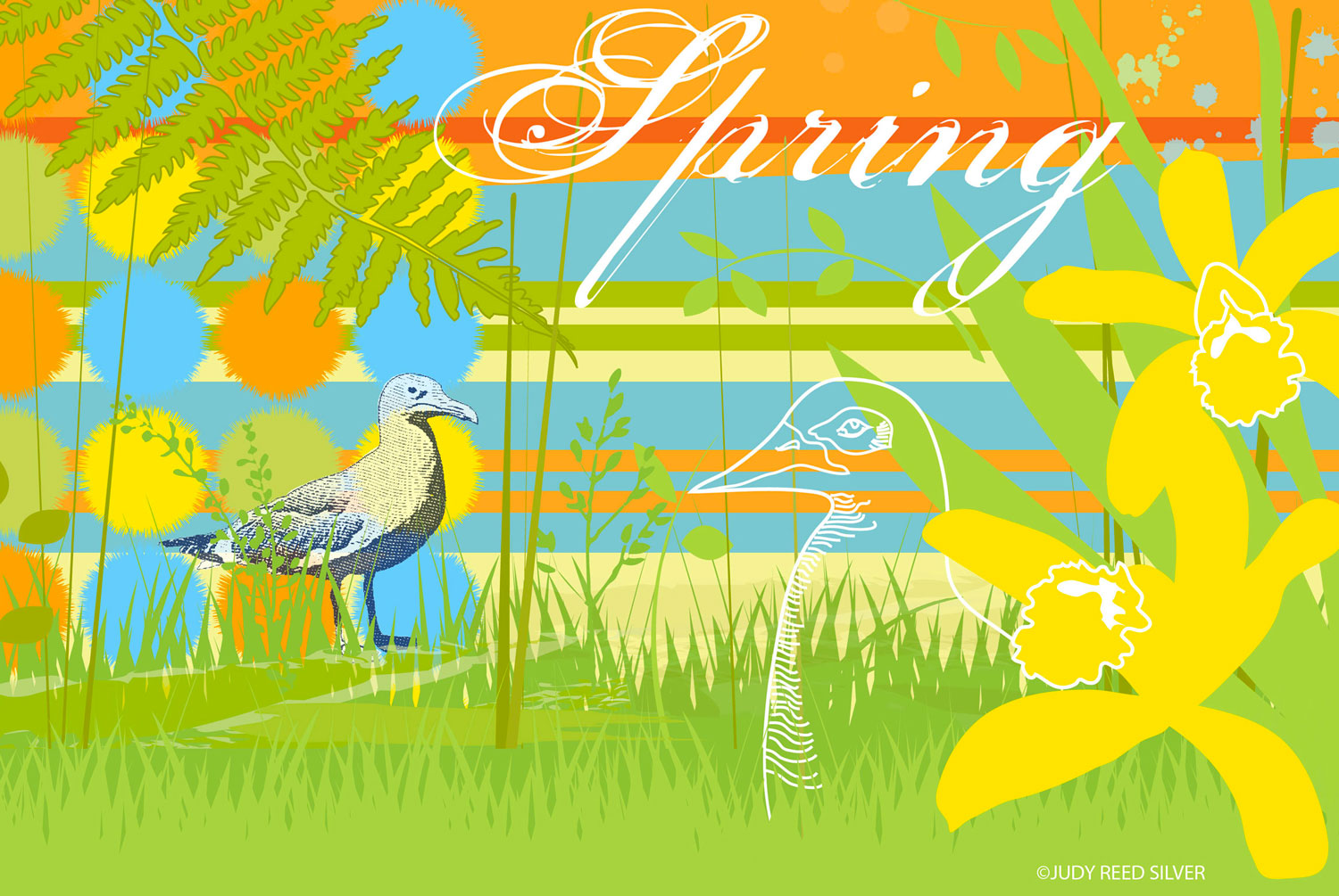 Spring Birds