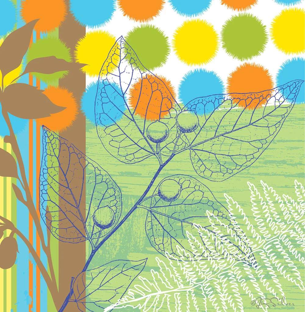Leaf Study 2