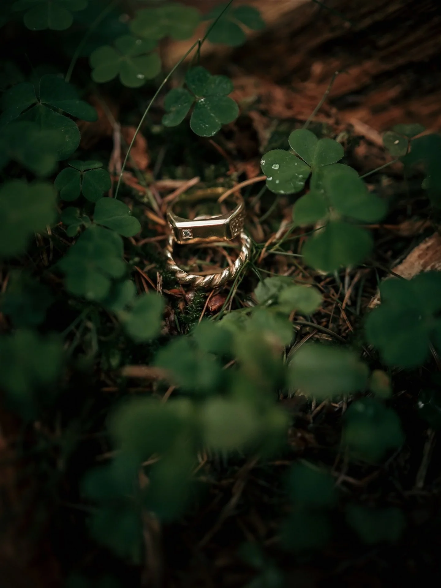 Sometimes it only takes one simple image to tell a whole story 🍀

I&rsquo;m currently booking wedding dates for 2026 and 2027, if you want to have a chat og want more information, say hello and we can start this adventure together.
Wishing you all a