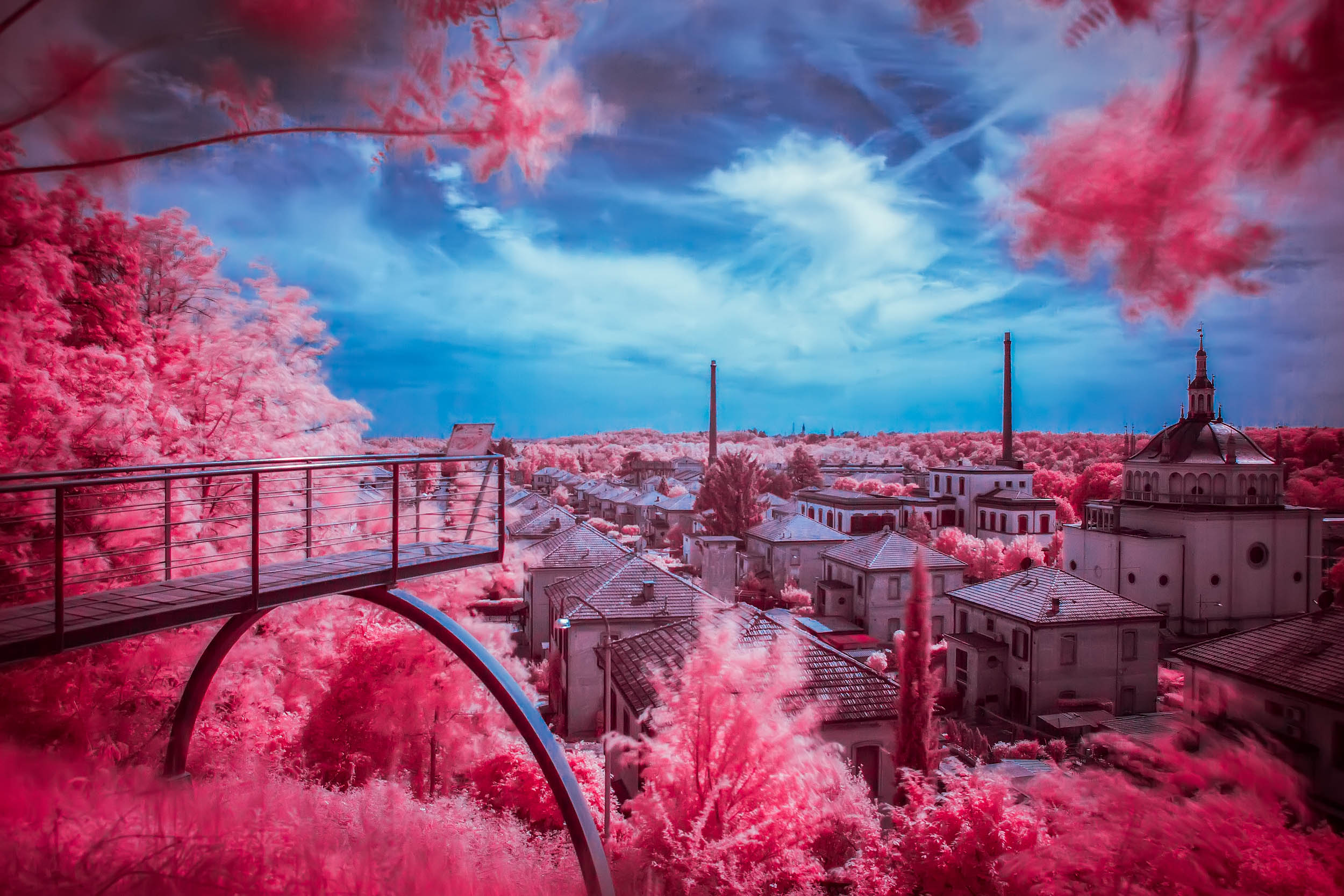 _5D39613 (ProPhoto RGB 16bit).jpg