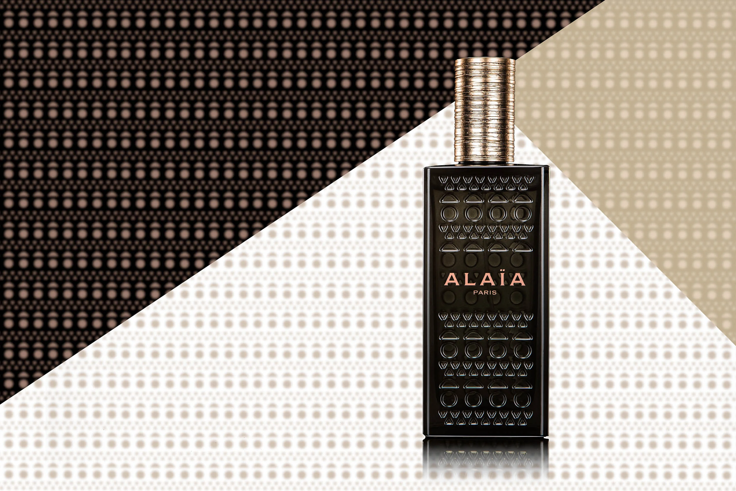 _TP_3660(ProPhoto RGB 16bit).jpg