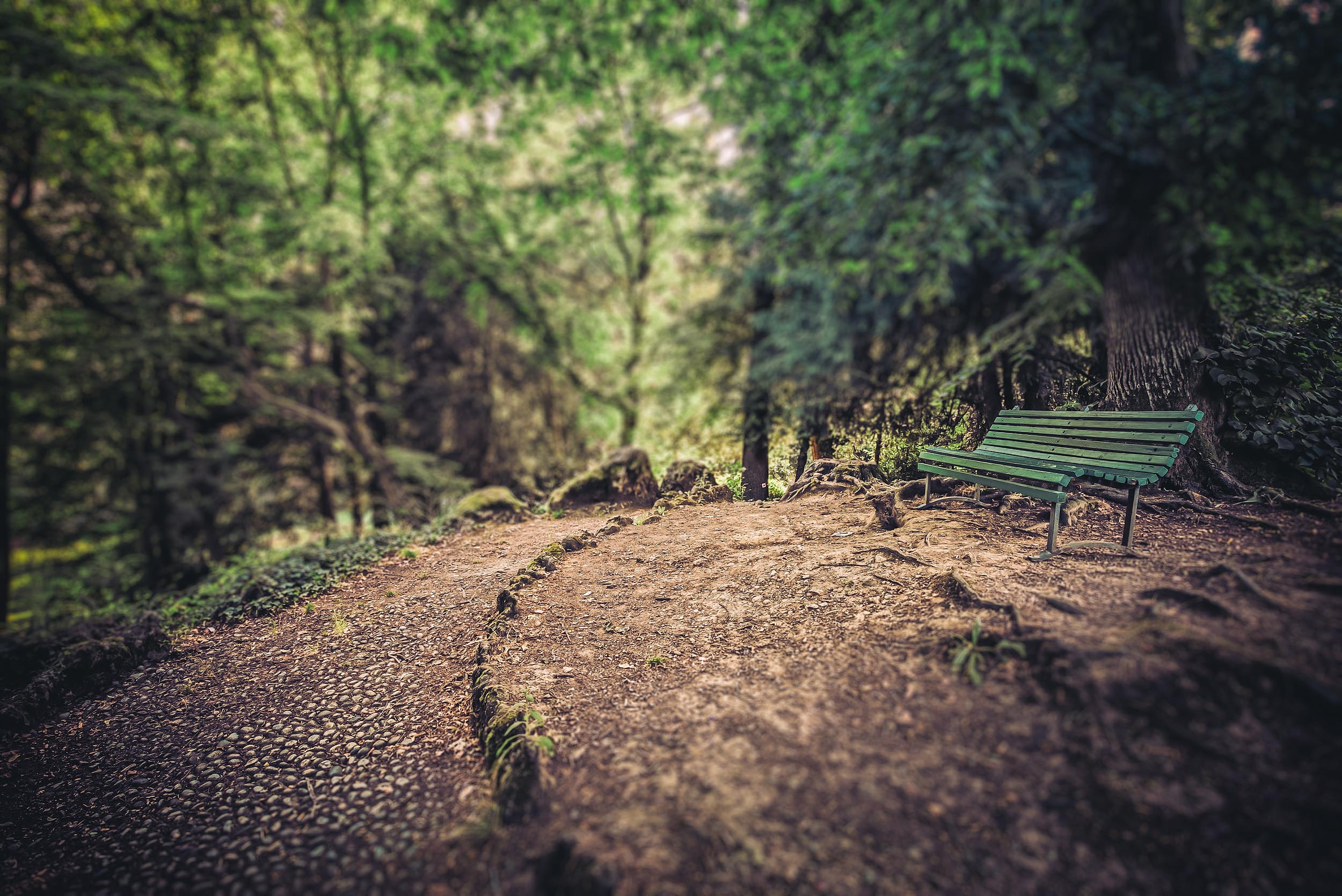 _5D33477 (ProPhoto RGB 16bit).jpg