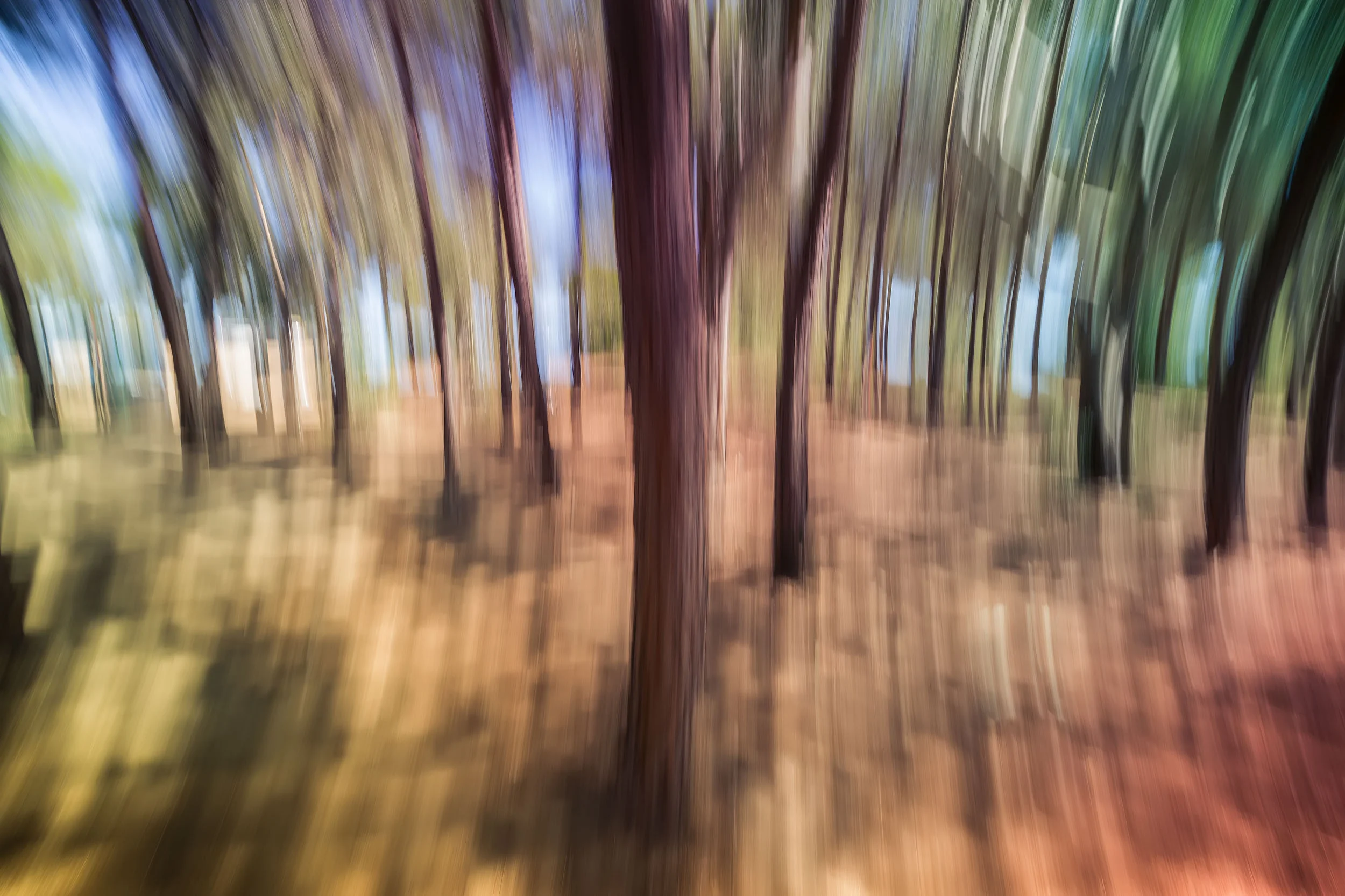 _5D34276.jpg