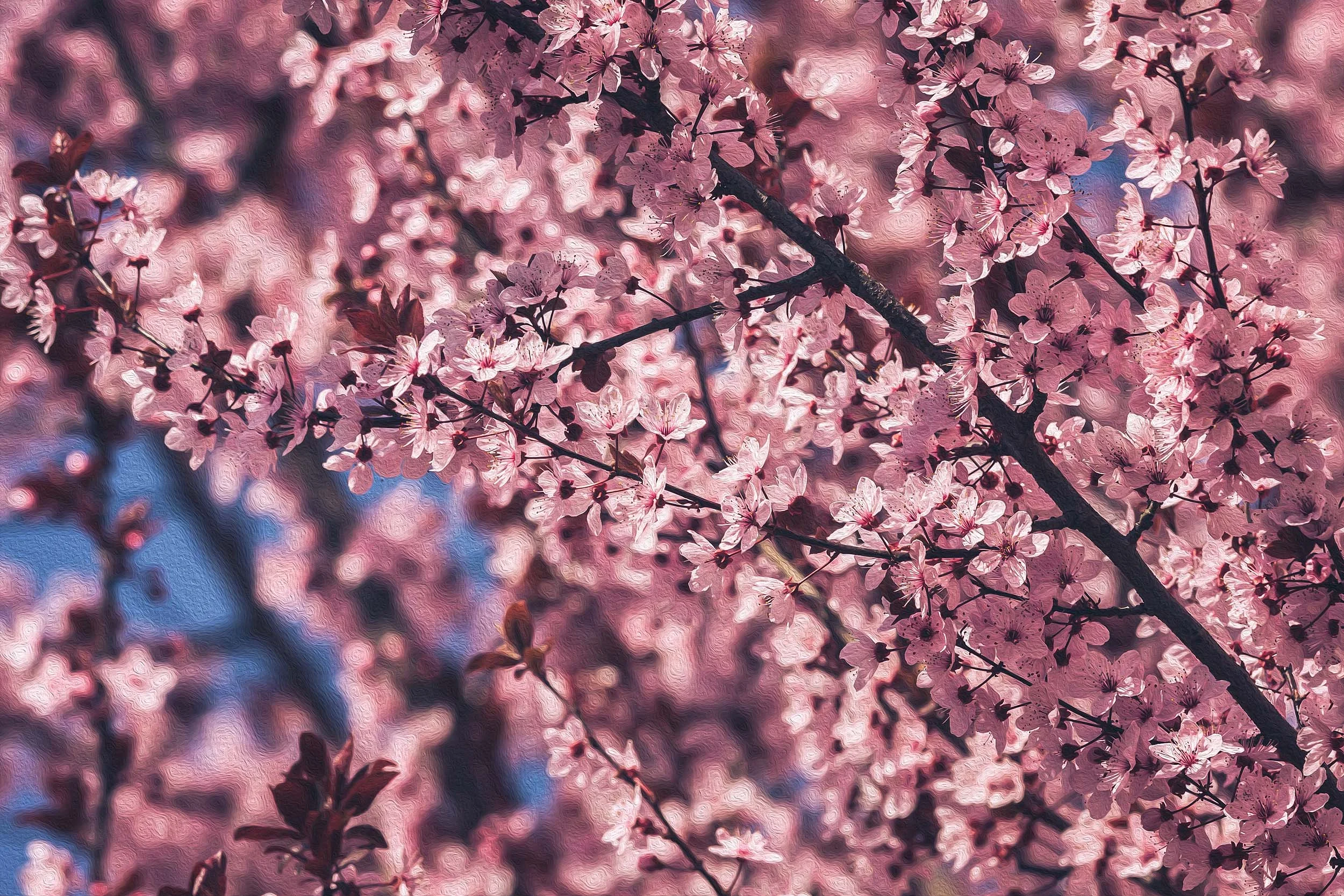 _MG_1693 (ProPhoto RGB 16bit).jpg