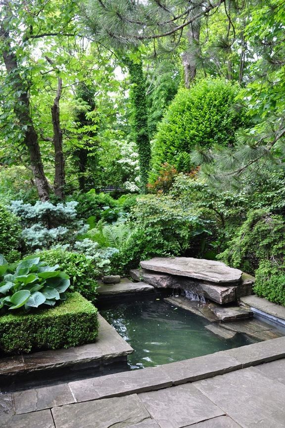 e7fccdb7d89ff931773b05a22476d990--small-garden-ponds-small-ponds.jpg