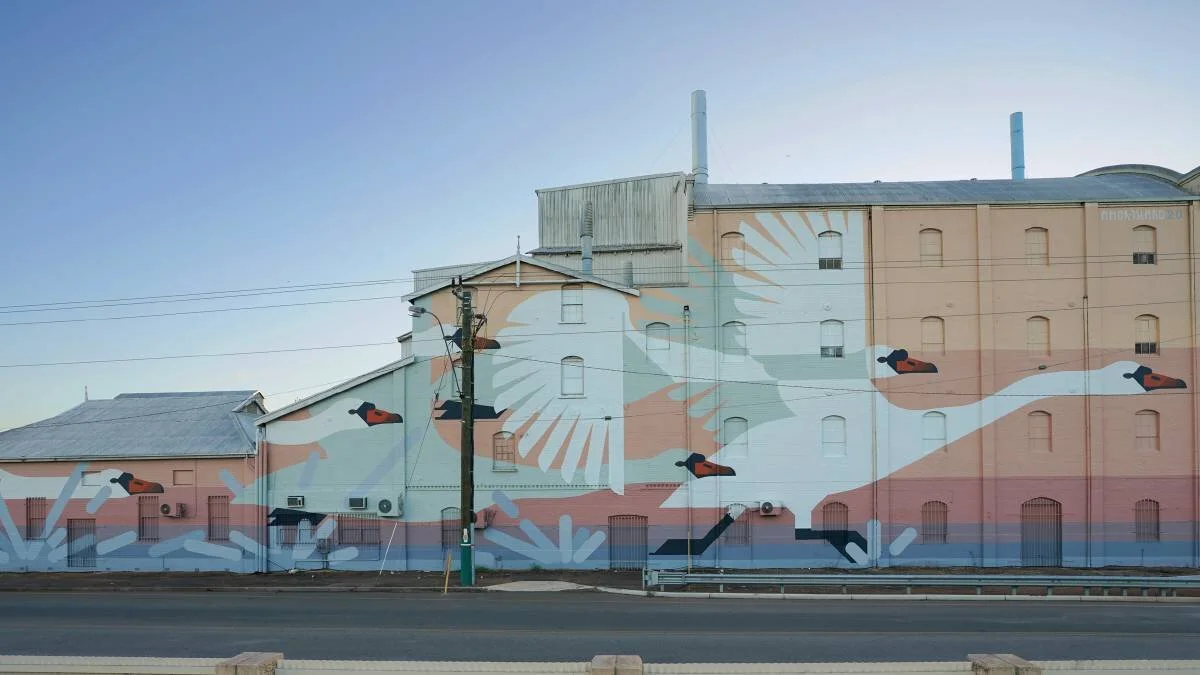 For the Skeptics, was I right about my 2020 Swan Year Prediction? Let’s Have a Look.