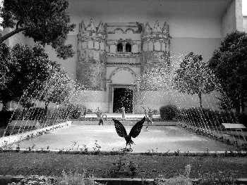 fountains.jpg