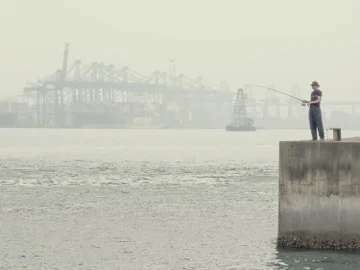 PB110183 as Smart Object-1.jpeg