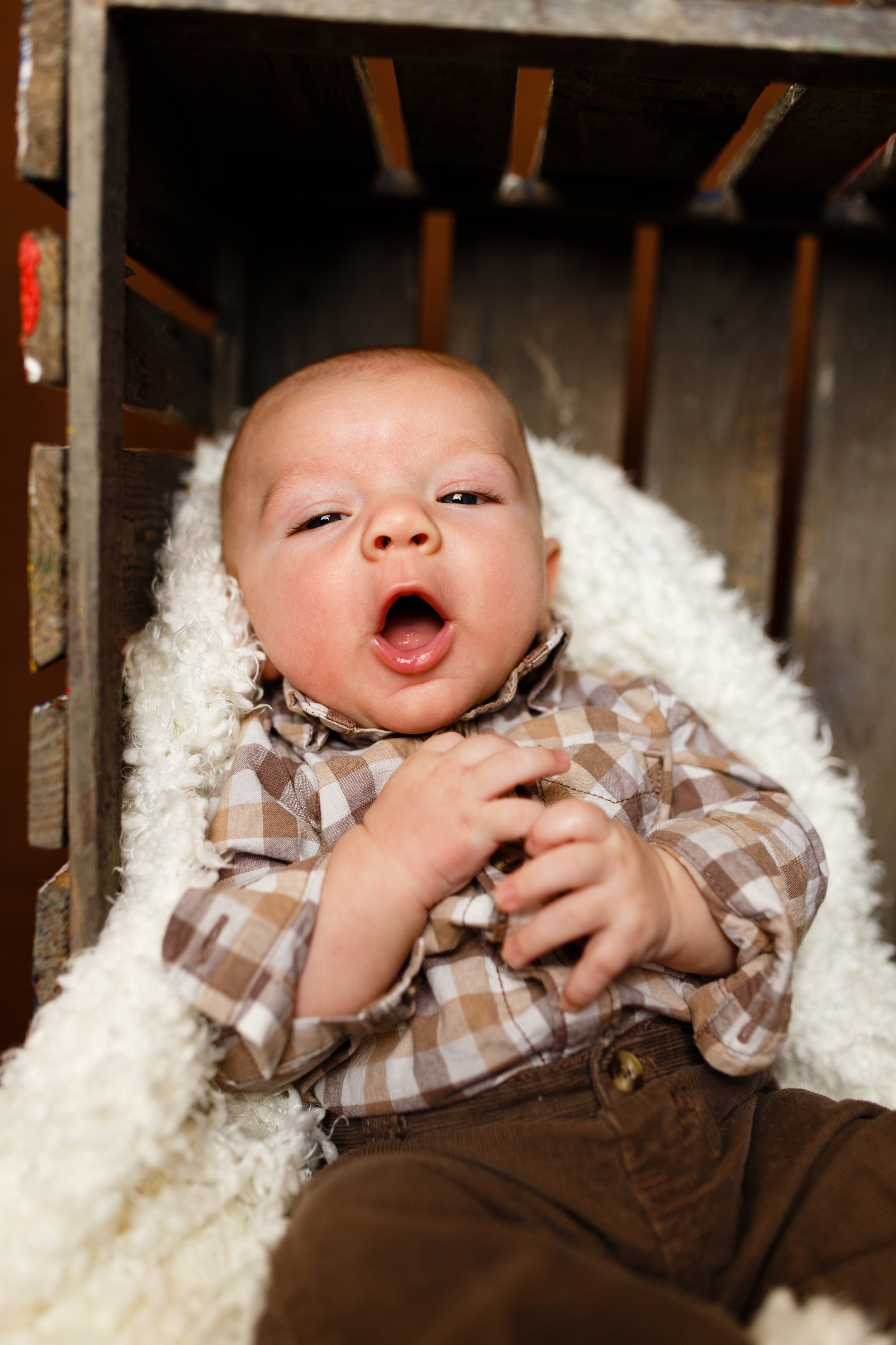 Family-portrait-lafayette-broussard-youngsville-photographer-14.jpg