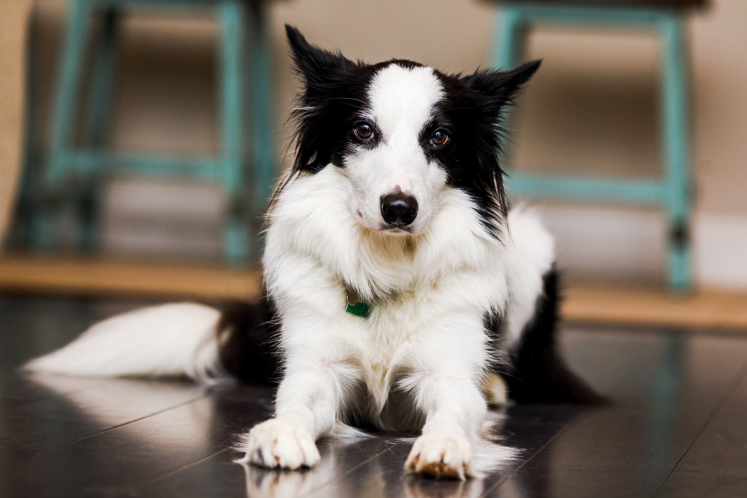 2020-01-03 IMG_5009.jpg