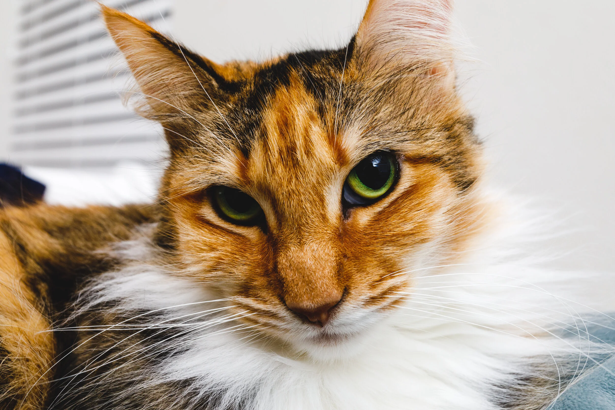 2020-01-14 IMG_5324.jpg