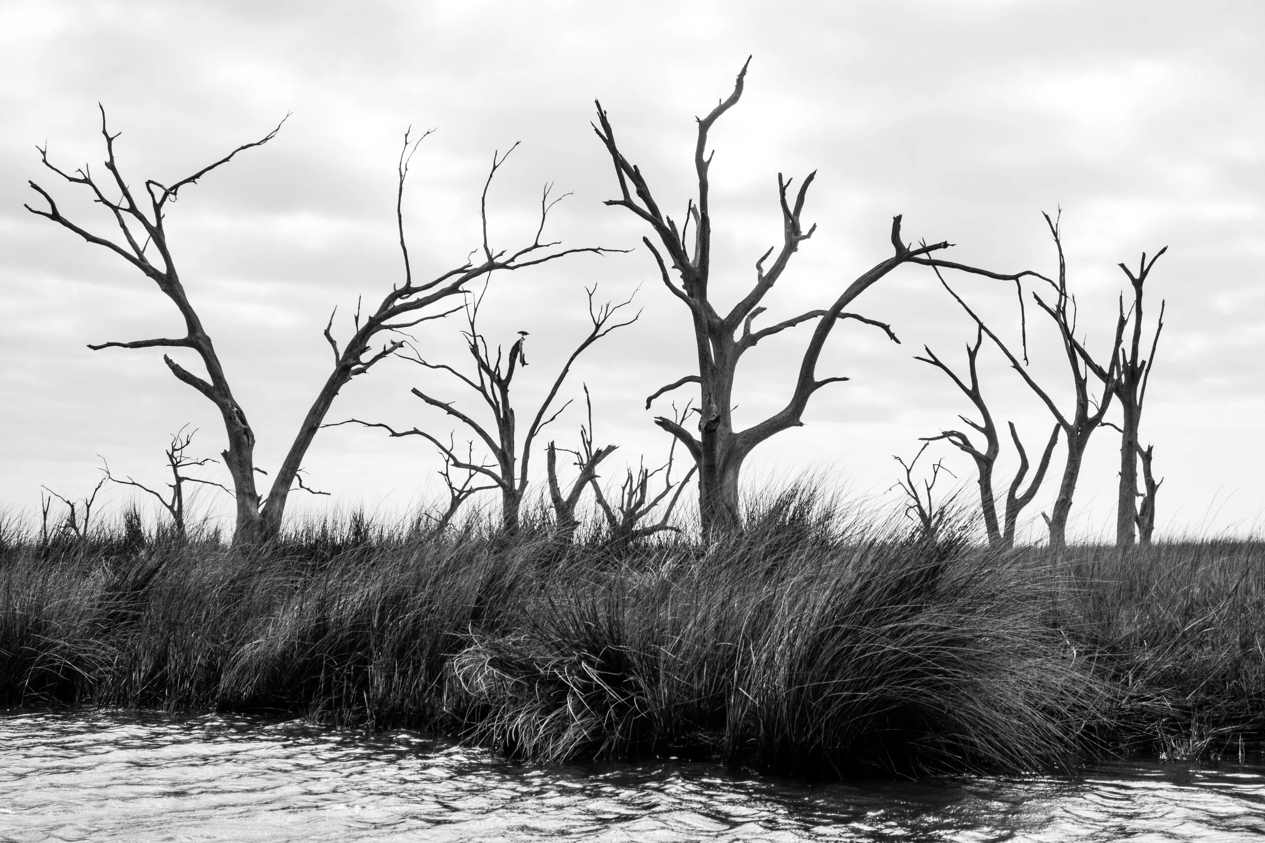 2020-01-17 IMG_5032.jpg