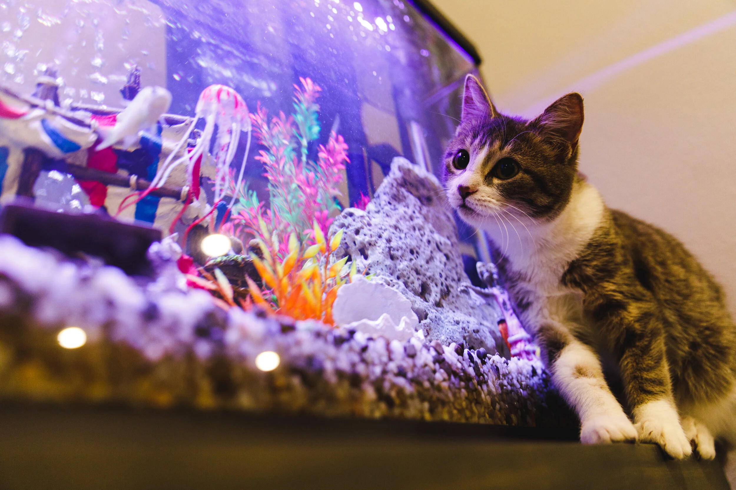 2020-01-26 IMG_5687.jpg