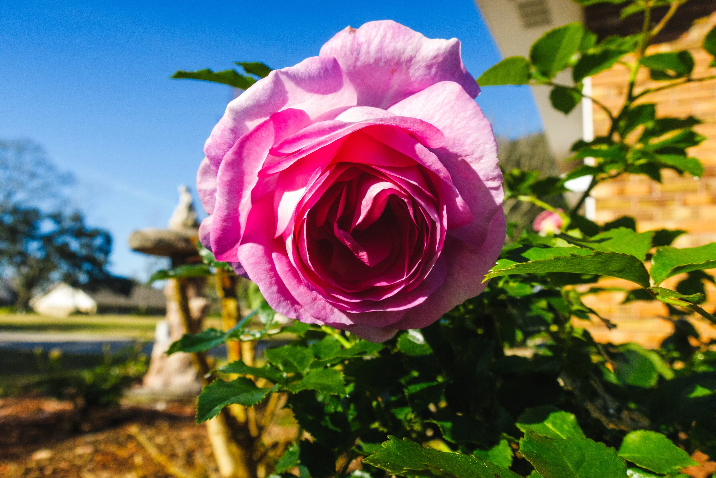 2020-02-02 IMG_0048.jpg