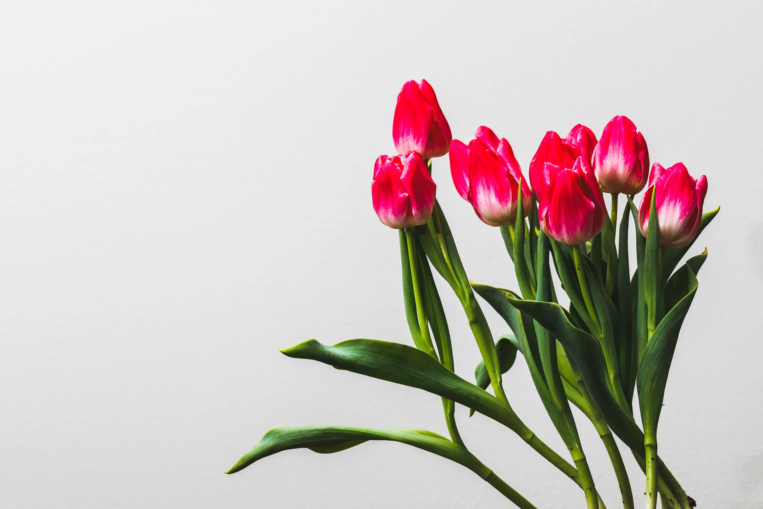 2020-02-16 IMG_6320.jpg