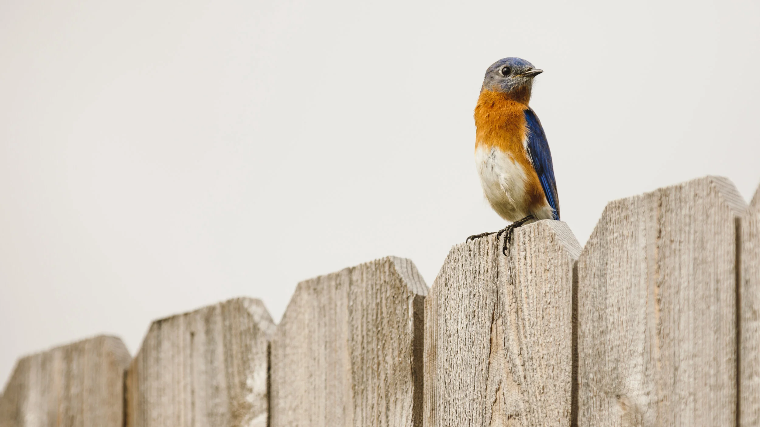 2020-02-16 IMG_6273.jpg