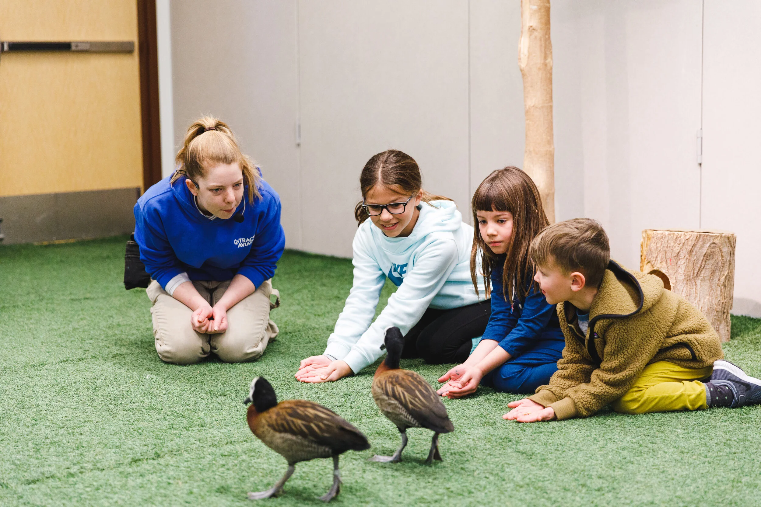 2020-02-23 IMG_6990-2.jpg