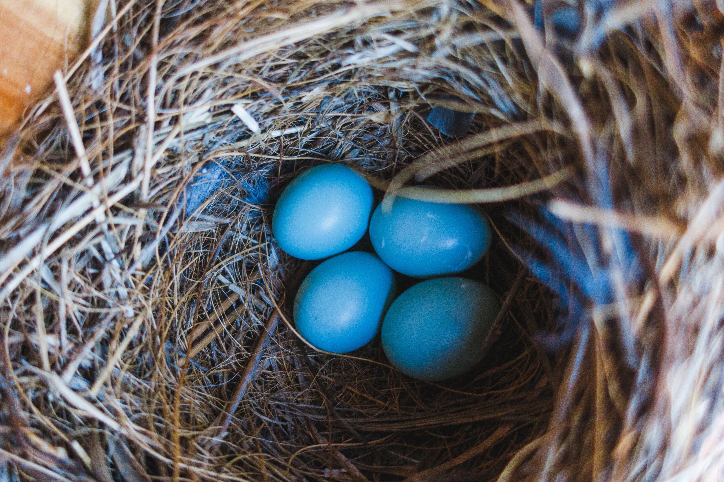 2020-03-08 IMG_0332.jpg