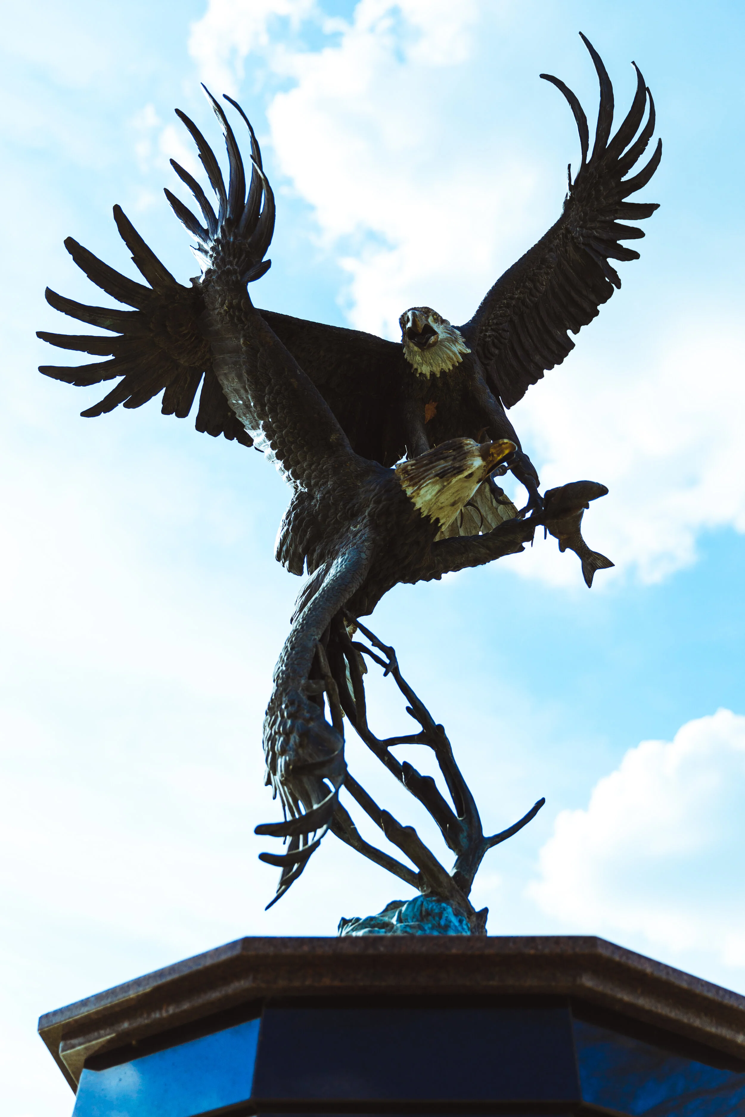 2020-03-15 IMG_7864.jpg