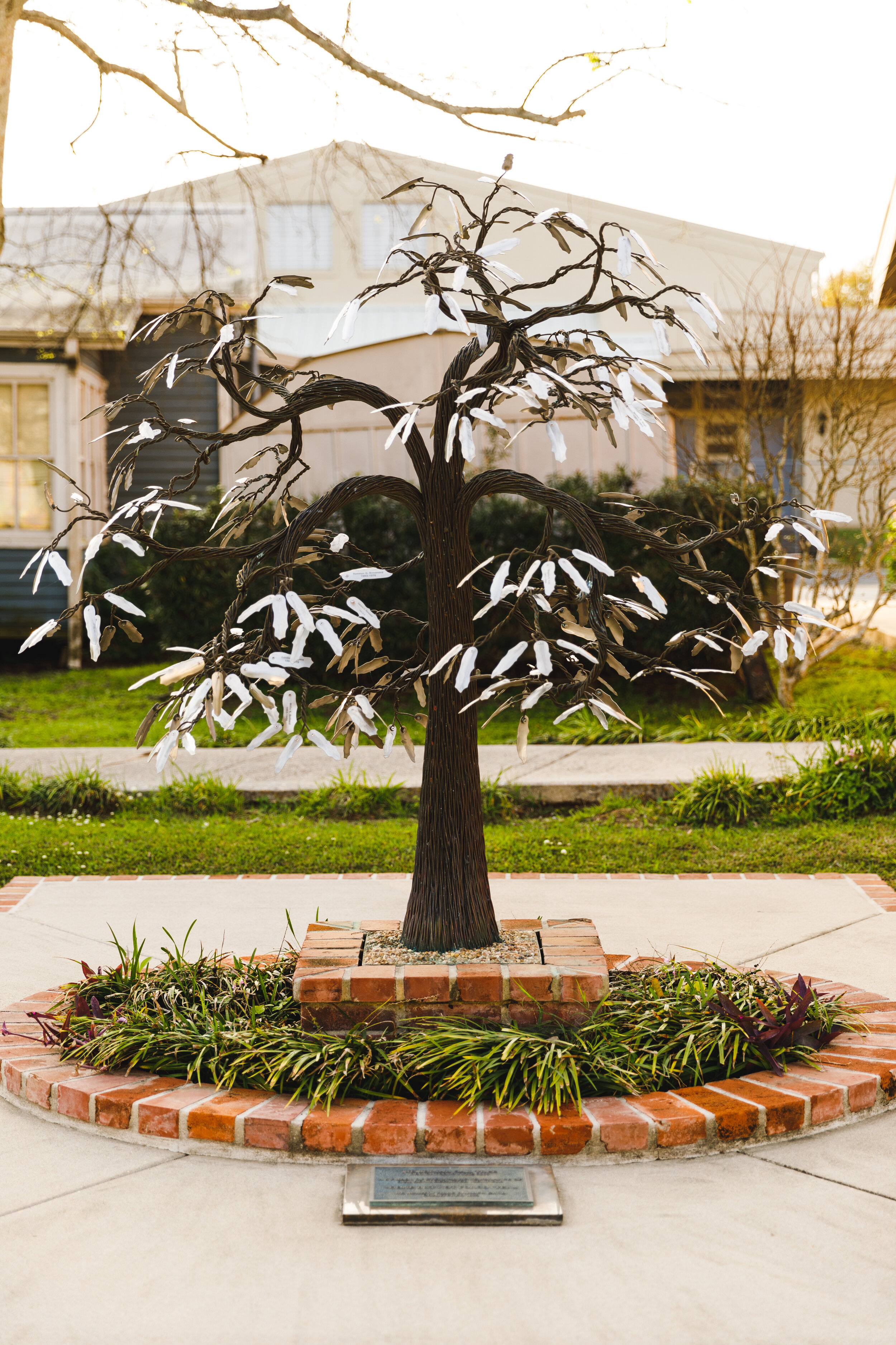 2020-03-15 IMG_7976.jpg