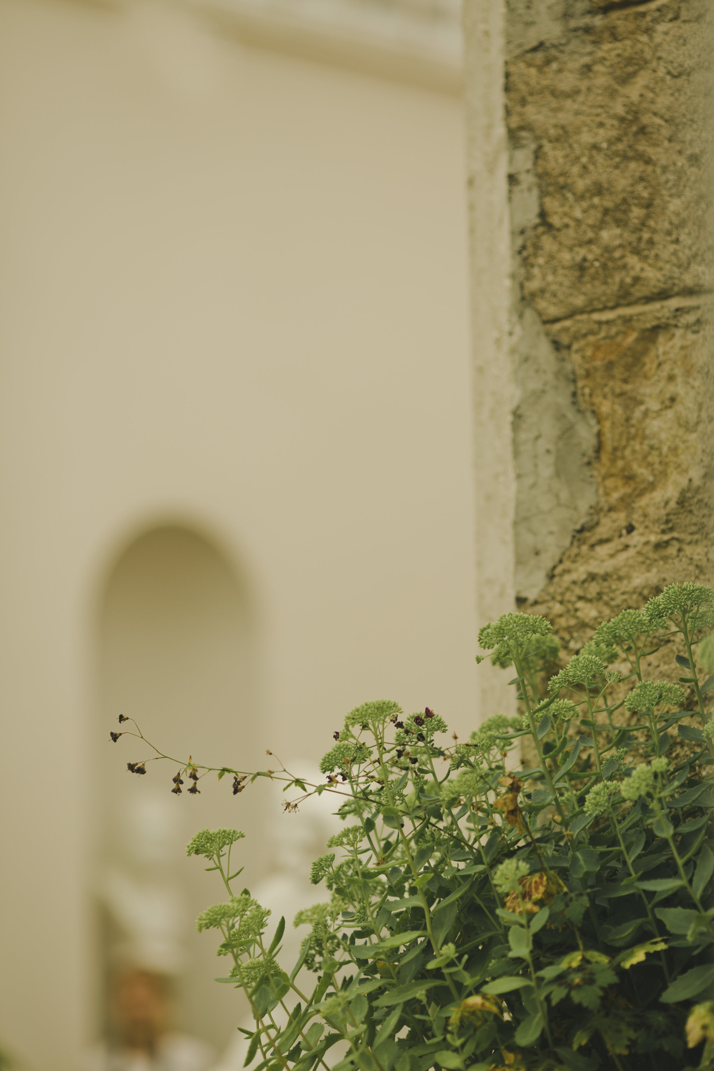 Ciara & Braham547.jpg