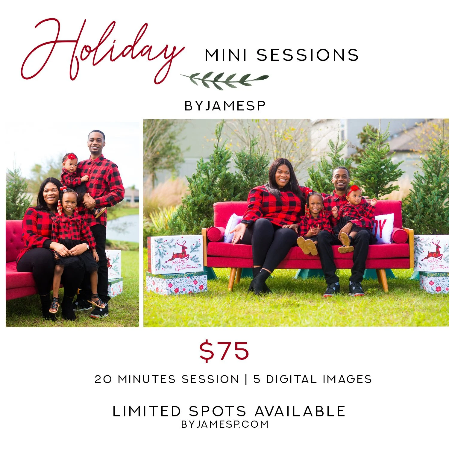 Holiday Mini Session