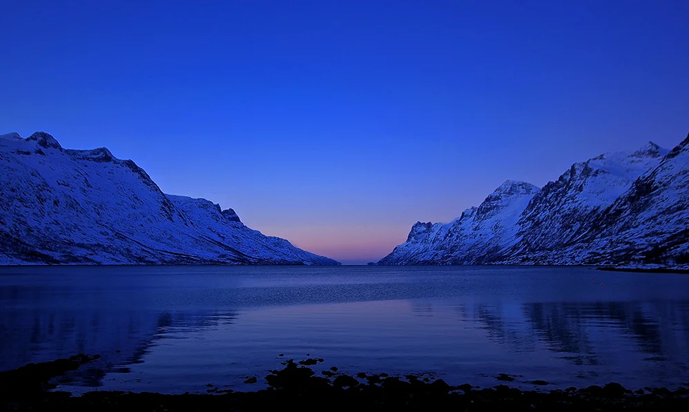 FORSIDE   vinter web.jpg